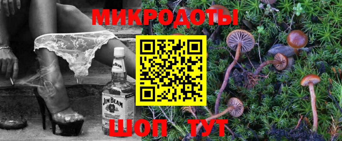 Псилоцибиновые грибы Psilocybe  Вход с VPN  Псилоцибиновые грибы GOLDEN TEACHER  Касимов 