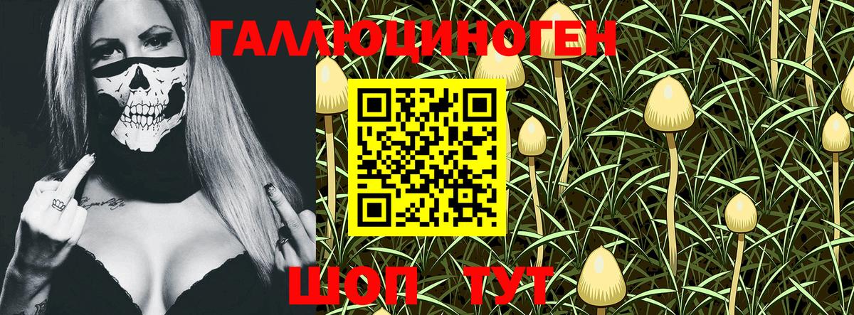 Псилоцибиновые грибы MAGIC MUSHROOMS Касимов
